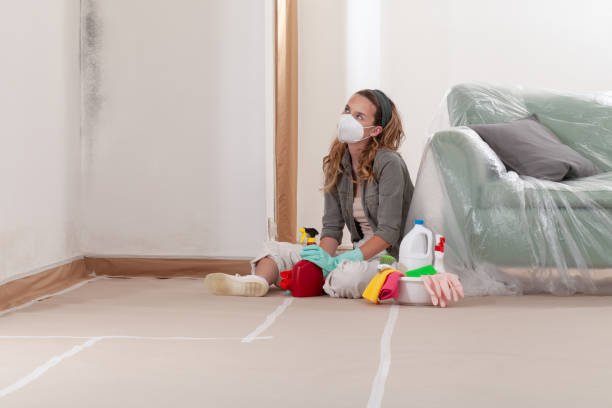 Reliable Commercial Mold Remediation contractor in Pendleton, OR by WQB Mold Removal